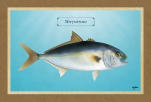 &Mu;&Alpha;&Gamma;&Iota;&Alpha;&Tau;&Iota;&Kappa;&Omicron; - &Kappa;&alpha;&mu;&beta;ά&sigmaf;