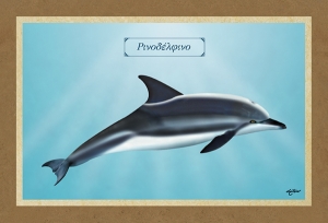 &Rho;&Iota;&Nu;&Omicron;&Delta;&Epsilon;&Lambda;&Phi;&Iota;&Nu;&Omicron; - &Kappa;&alpha;&mu;&beta;ά&sigmaf;