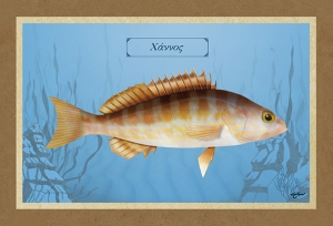 &Chi;&Alpha;&Nu;&Nu;&Omicron;&Sigma; - &Kappa;&alpha;&mu;&beta;ά&sigmaf;