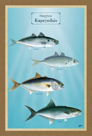 &Omicron;&iota;&kappa;&omicron;&gamma;έ&nu;&epsilon;&iota;&alpha; &Kappa;&alpha;&rho;&alpha;&gamma;&kappa;&iota;&delta;ώ&nu; - &Kappa;&alpha;&mu;&beta;ά&sigmaf;