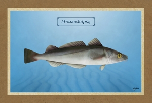 &Mu;&Pi;&Alpha;&Kappa;&Alpha;&Lambda;&Iota;&Alpha;&Rho;&Omicron;&Sigma; - &Kappa;&alpha;&mu;&beta;ά&sigmaf;