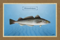 &Mu;&Pi;&Alpha;&Kappa;&Alpha;&Lambda;&Iota;&Alpha;&Rho;&Omicron;&Sigma; - &Kappa;&alpha;&mu;&beta;ά&sigmaf;