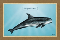 &Sigma;&Tau;&Alpha;&Chi;&Tau;&Omicron;&Delta;&Epsilon;&Lambda;&Phi;&Iota;&Nu;&Omicron; - &Kappa;&alpha;&mu;&beta;ά&sigmaf;