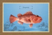 &Sigma;&Kappa;&Omicron;&Rho;&Pi;&Iota;&Omicron;&Sigma; - &Kappa;&alpha;&mu;&beta;ά&sigmaf;