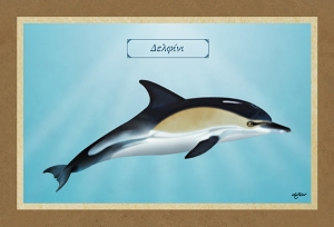 &Delta;&Epsilon;&Lambda;&Phi;&Iota;&Nu;&Iota; - &Kappa;&alpha;&mu;&beta;ά&sigmaf;