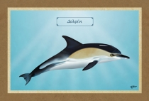 &Delta;&Epsilon;&Lambda;&Phi;&Iota;&Nu;&Iota; - &Kappa;&alpha;&mu;&beta;ά&sigmaf;