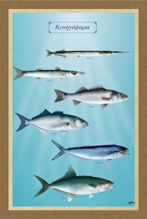 &Kappa;&Upsilon;&Nu;&Eta;&Gamma;&Omicron;&Psi;&Alpha;&Rho;&Alpha; - &Kappa;&alpha;&mu;&beta;ά&sigmaf;