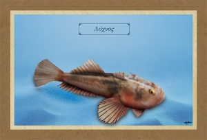 &Lambda;&Upsilon;&Chi;&Nu;&Omicron;&Sigma; - &Kappa;&alpha;&mu;&beta;ά&sigmaf;