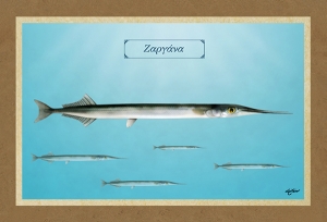 &Zeta;&Alpha;&Rho;&Gamma;&Alpha;&Nu;&Alpha; - &Kappa;&alpha;&mu;&beta;ά&sigmaf;