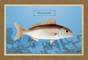 &Mu;&Omicron;&Upsilon;&Sigma;&Mu;&Omicron;&Upsilon;&Lambda;&Iota; - &Kappa;&alpha;&mu;&beta;ά&sigmaf;