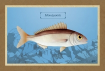 &Mu;&Omicron;&Upsilon;&Sigma;&Mu;&Omicron;&Upsilon;&Lambda;&Iota; - &Kappa;&alpha;&mu;&beta;ά&sigmaf;