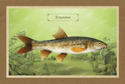 &Mu;&Pi;&Rho;&Iota;&Alpha;&Nu;&Alpha; - &Kappa;&alpha;&mu;&beta;ά&sigmaf;