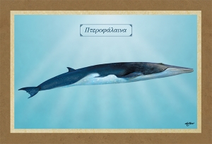 &Pi;&Tau;&Epsilon;&Rho;&Omicron;&Phi;&Alpha;&Lambda;&Alpha;&Iota;&Nu;&Alpha; - &Kappa;&alpha;&mu;&beta;ά&sigmaf;