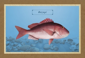 &Phi;&Alpha;&Gamma;&Kappa;&Rho;&Iota; - &Kappa;&alpha;&mu;&beta;ά&sigmaf;