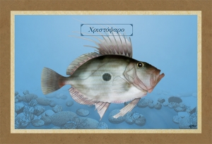 &Chi;&Rho;&Iota;&Sigma;&Tau;&Omicron;&Psi;&Alpha;&Rho;&Omicron; - &Kappa;&alpha;&mu;&beta;ά&sigmaf;