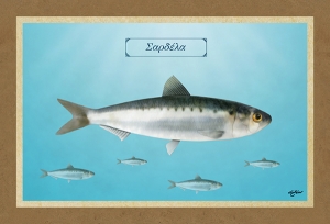 &Sigma;&Alpha;&Rho;&Delta;&Epsilon;&Lambda;&Alpha; - &Kappa;&alpha;&mu;&beta;ά&sigmaf;