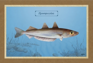 &Pi;&Rho;&Omicron;&Sigma;&Phi;&Upsilon;&Gamma;&Alpha;&Kappa;&Iota; - &Kappa;&alpha;&mu;&beta;ά&sigmaf;