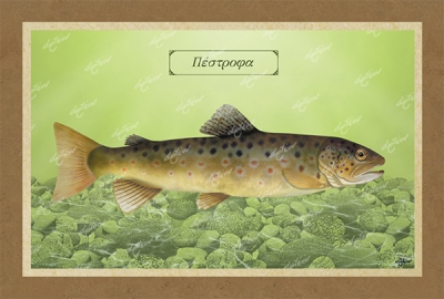 &Pi;&Epsilon;&Sigma;&Tau;&Rho;&Omicron;&Phi;&Alpha; - &Kappa;&alpha;&mu;&beta;ά&sigmaf;