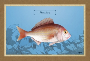 &Mu;&Pi;&Alpha;&Lambda;&Alpha;&Sigma; - &Kappa;&alpha;&mu;&beta;ά&sigmaf;