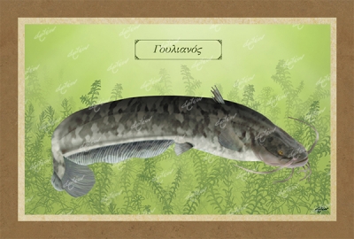 &Gamma;&Omicron;&Upsilon;&Lambda;&Iota;&Alpha;&Nu;&Omicron;&Sigma; - &Kappa;&alpha;&mu;&beta;ά&sigmaf;