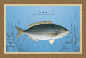 &Sigma;&Alpha;&Lambda;&Pi;&Alpha; - &Kappa;&alpha;&mu;&beta;ά&sigmaf;