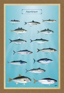 &Alpha;&Phi;&Rho;&Omicron;&Psi;&Alpha;&Rho;&Alpha; - &Kappa;&alpha;&mu;&beta;ά&sigmaf;