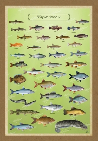 &Psi;&Alpha;&Rho;&Iota;&Alpha; &Lambda;&Iota;&Mu;&Nu;&Omega;&Nu; - &Kappa;&alpha;&mu;&beta;ά&sigmaf;