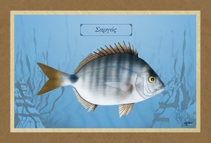 &Sigma;&Alpha;&Rho;&Gamma;&Omicron;&Sigma; - &Kappa;&alpha;&mu;&beta;ά&sigmaf;