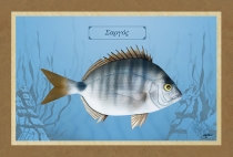 &Sigma;&Alpha;&Rho;&Gamma;&Omicron;&Sigma; - &Kappa;&alpha;&mu;&beta;ά&sigmaf;