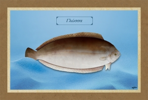 &Gamma;&Lambda;&Omega;&Sigma;&Sigma;&Alpha; - &Kappa;&alpha;&mu;&beta;ά&sigmaf;