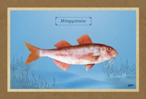 &Mu;&Pi;&Alpha;&Rho;&Mu;&Pi;&Omicron;&Upsilon;&Nu;&Iota; - &Kappa;&alpha;&mu;&beta;ά&sigmaf;