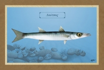 &Lambda;&Omicron;&Upsilon;&Tau;&Sigma;&Omicron;&Sigma; - &Kappa;&alpha;&mu;&beta;ά&sigmaf;