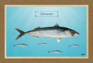 &Sigma;&Kappa;&Omicron;&Upsilon;&Mu;&Pi;&Rho;&Iota; - &Kappa;&alpha;&mu;&beta;ά&sigmaf;