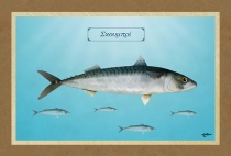 &Sigma;&Kappa;&Omicron;&Upsilon;&Mu;&Pi;&Rho;&Iota; - &Kappa;&alpha;&mu;&beta;ά&sigmaf;