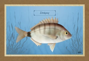 &Sigma;&Pi;&Alpha;&Rho;&Omicron;&Sigma; - &Kappa;&alpha;&mu;&beta;ά&sigmaf;