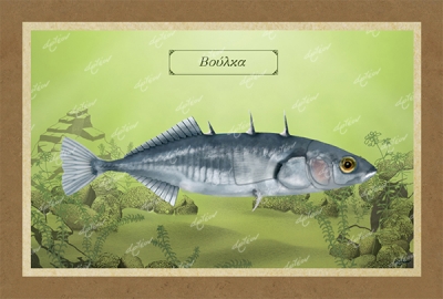 &Beta;&Omicron;&Upsilon;&Lambda;&Kappa;&Alpha; - &Kappa;&alpha;&mu;&beta;ά&sigmaf;