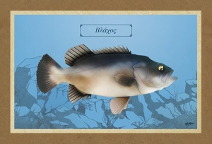 B&Lambda;&Alpha;&Chi;&Omicron;&Sigma; - &Kappa;&alpha;&mu;&beta;ά&sigmaf;