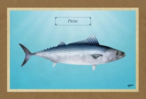 &Rho;&Epsilon;&Iota;&Kappa;&Iota; - &Kappa;&alpha;&mu;&beta;ά&sigmaf;