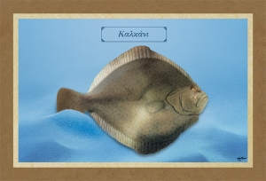 &Kappa;&Alpha;&Lambda;&Kappa;&Alpha;&Nu;&Iota; - &Kappa;&alpha;&mu;&beta;ά&sigmaf;