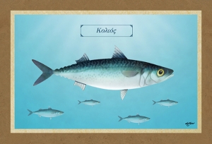 &Kappa;&Omicron;&Lambda;&Iota;&Omicron;&Sigma; - &Kappa;&alpha;&mu;&beta;ά&sigmaf;