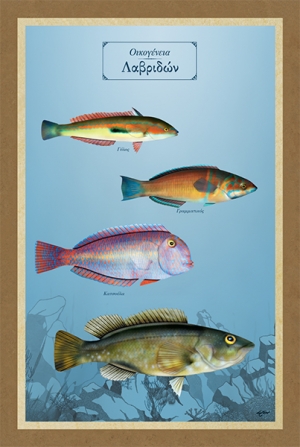 &Omicron;&iota;&kappa;&omicron;&gamma;έ&nu;&epsilon;&iota;&alpha; &Lambda;&alpha;&beta;&rho;&iota;&delta;ώ&nu; - &Kappa;&alpha;&mu;&beta;ά&sigmaf;