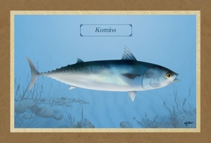 &Kappa;&Omicron;&Pi;&Alpha;&Nu;&Iota; - &Kappa;&alpha;&mu;&beta;ά&sigmaf;