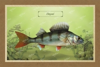 &Pi;&Epsilon;&Rho;&Kappa;&Iota; - &Kappa;&alpha;&mu;&beta;ά&sigmaf;