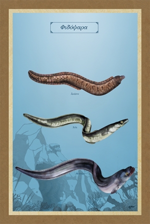 &Phi;&Iota;&Delta;&Omicron;&Psi;&Alpha;&Rho;&Alpha; - &Kappa;&alpha;&mu;&beta;ά&sigmaf;