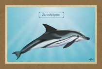 &Zeta;&Omega;&Nu;&Omicron;&Delta;&Epsilon;&Lambda;&Phi;&Iota;&Nu;&Omicron; - &Kappa;&alpha;&mu;&beta;ά&sigmaf;