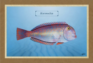 &Kappa;&Alpha;&Tau;&Sigma;&Omicron;&Upsilon;&Lambda;&Alpha; - &Kappa;&alpha;&mu;&beta;ά&sigmaf;