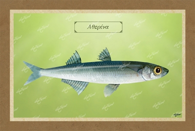 &Alpha;&Theta;&Epsilon;&Rho;&Iota;&Nu;&Alpha; - &Kappa;&alpha;&mu;&beta;ά&sigmaf;