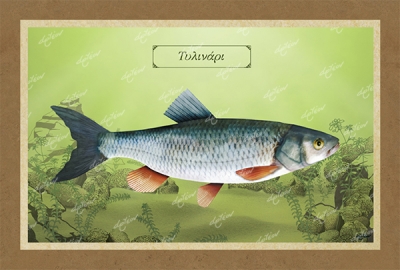 &Tau;&Upsilon;&Lambda;&Iota;&Nu;&Alpha;&Rho;&Iota; - &Kappa;&alpha;&mu;&beta;ά&sigmaf;