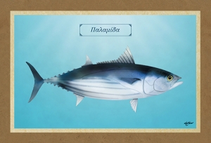 &Pi;&Alpha;&Lambda;&Alpha;&Mu;&Iota;&Delta;&Alpha; - &Kappa;&alpha;&mu;&beta;ά&sigmaf;