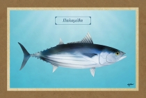 &Pi;&Alpha;&Lambda;&Alpha;&Mu;&Iota;&Delta;&Alpha; - &Kappa;&alpha;&mu;&beta;ά&sigmaf;